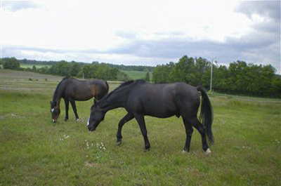 Virma et Héros dans le parc