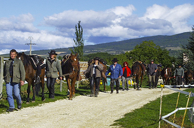 Départ balade équestre